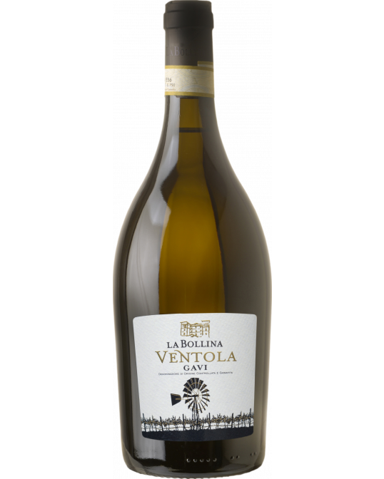 Michele Chiarlo Le Marne Gavi 2020 8Wines EU UK