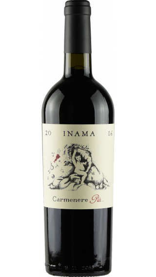 Bottle of Inama Carmenere Piu 2016 wine 750 ml