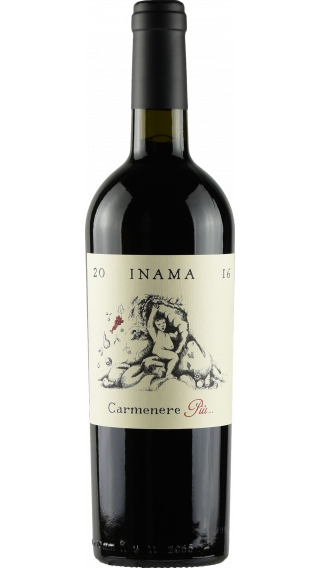Bottle of Inama Carmenere Piu 2017 wine 750 ml