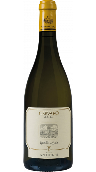 Bottle of Antinori Cervaro della Sala 2016 wine 750 ml