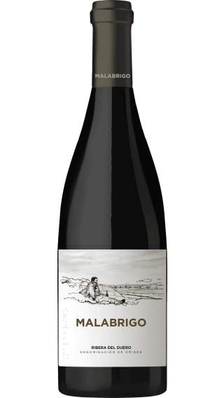 Bottle of Bodegas Cepa 21 Malabrigo 2019 wine 750 ml