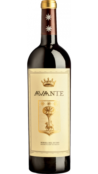 Bottle of Avante Ribero del Duero 2014 wine 750 ml