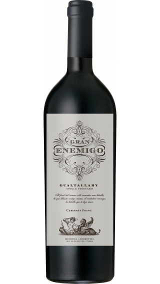 Bottle of El Enemigo Gran Enemigo Gualtallary 2017 wine 750 ml