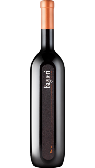 Bottle of Klet Brda Bagueri Merlot 2019 wine 750 ml