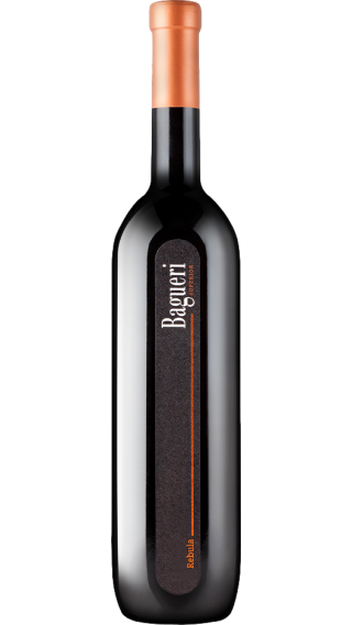 Bottle of Klet Brda Bagueri Rebula 2019 wine 750 ml