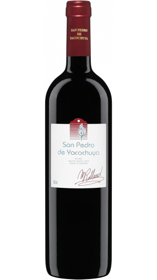 Bottle of San Pedro de Yacochuya Red 2017 wine 750 ml