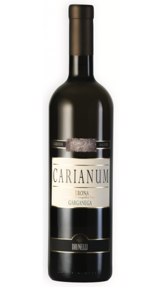 Bottle of Brunelli Carianum Garganega 2018 wine 750 ml