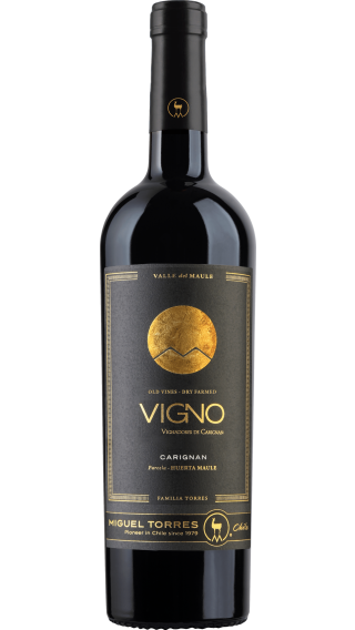 Bottle of Torres Cordillera Carignan 2018 wine 750 ml