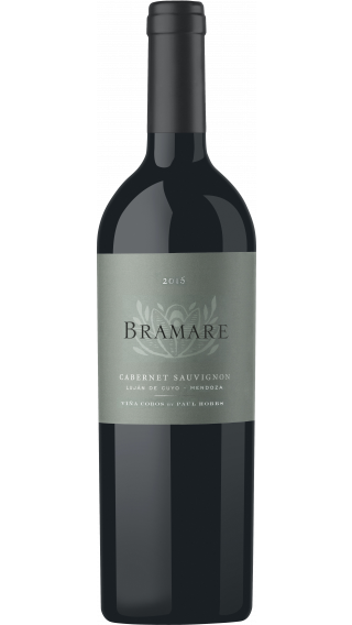 Bottle of Vina Cobos Bramare Cabernet Sauvignon 2016 wine 750 ml