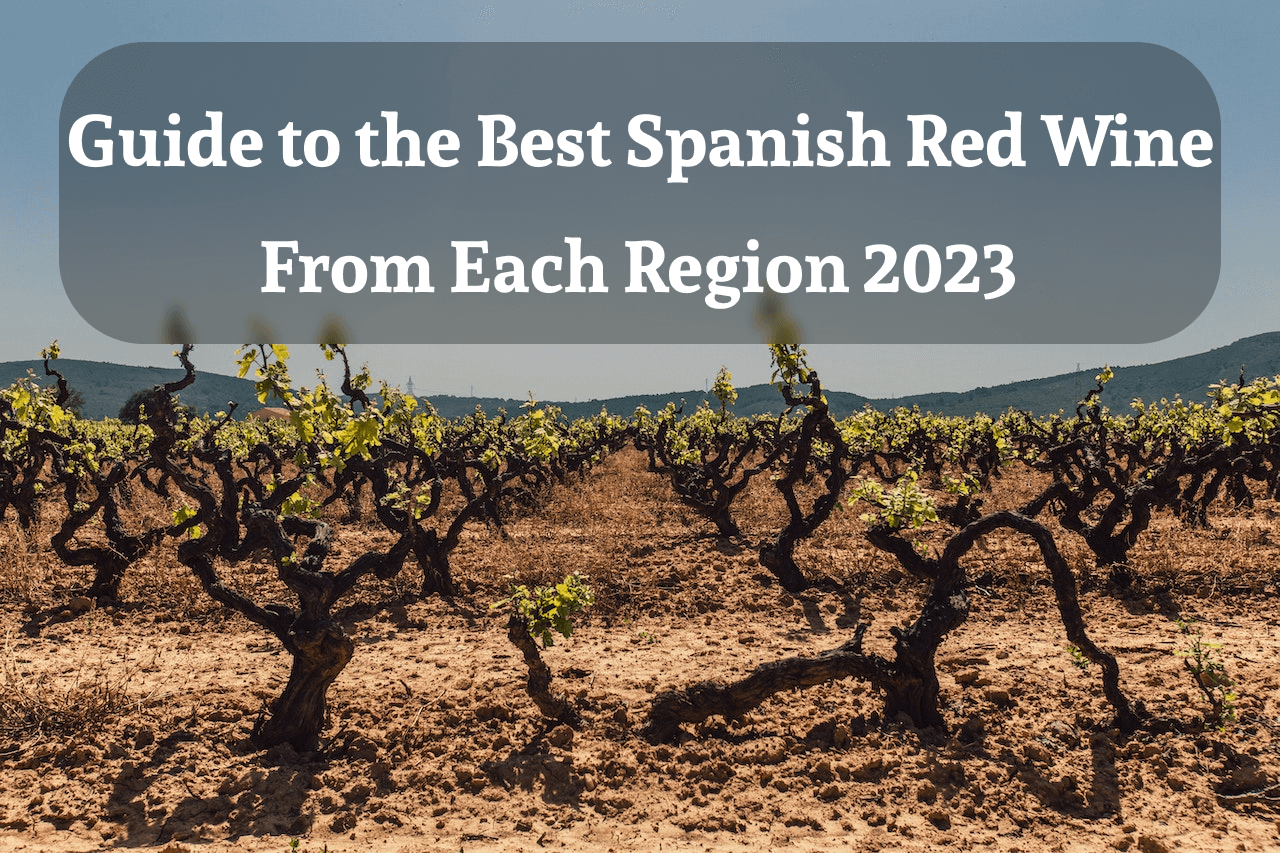 to the Best Spanish Red Wine From 2023