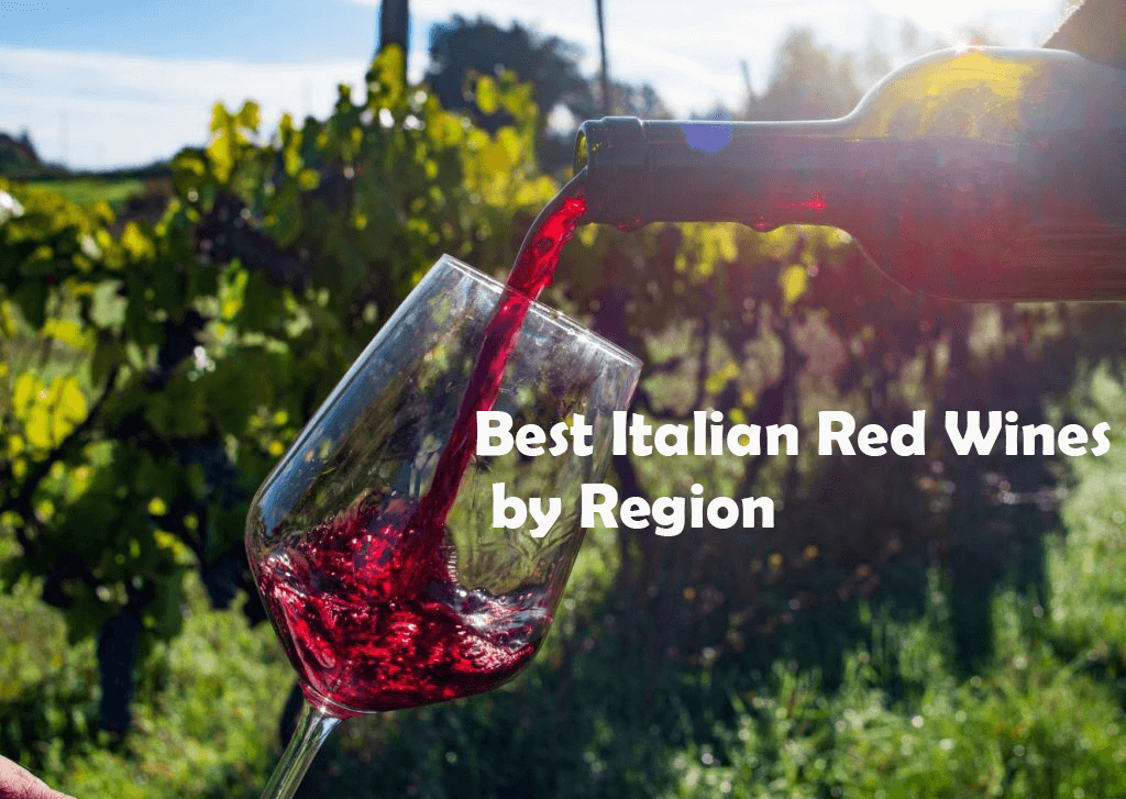 Bạn muốn khám phá những loại rượu vang đỏ Ý tốt nhất theo vùng trong năm 2024? Đó là sự kết hợp nghệ thuật giữa nghệ nhân làm rượu với các giống nho đặc trưng của từng vùng. Hương vị thanh lịch và tinh tế trong từng hộp rượu sẽ khiến bạn thích thú và muốn khám phá hơn nữa.
